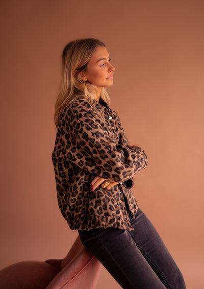 Chaleur Féline & Style Audacieux